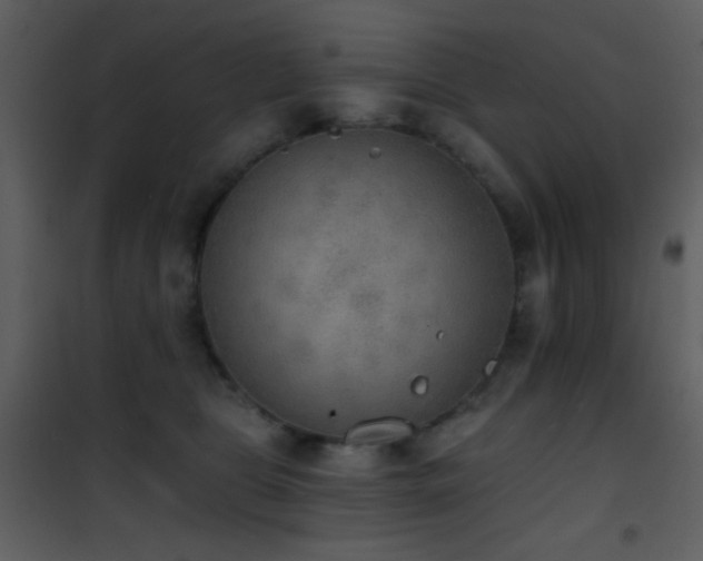 X0000101970469200807181109