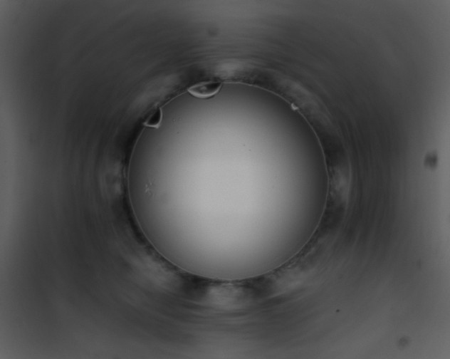 X0000101970470200807181109