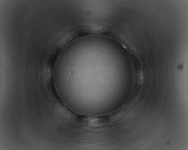 X0000101970472200807181109