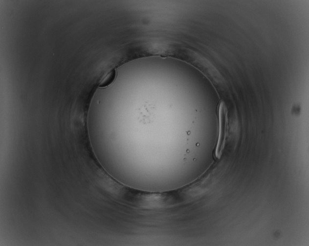 X0000101970473200807181109