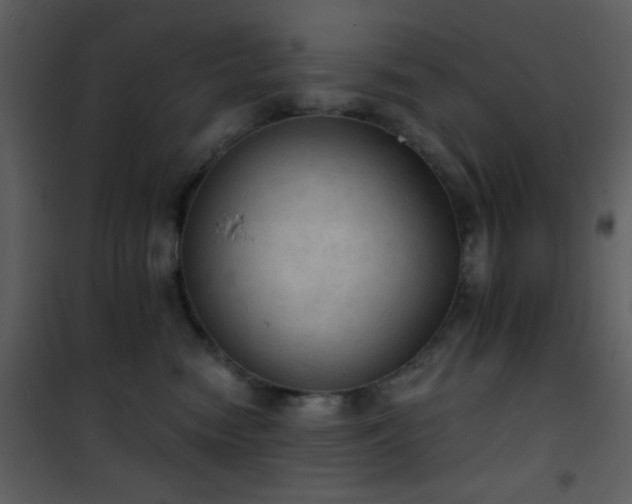 X0000101970474200807181109