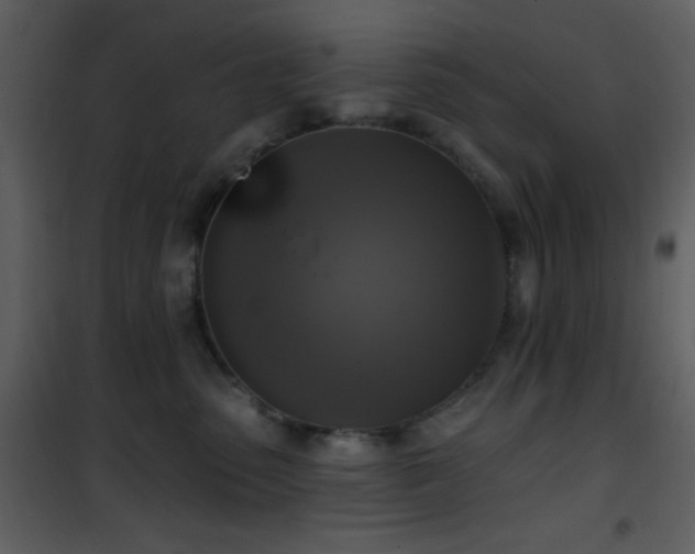 X0000101970475200807181109