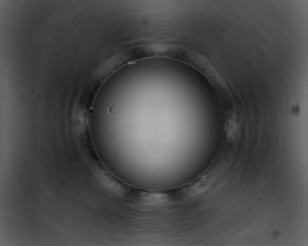 X0000101970476200807181109