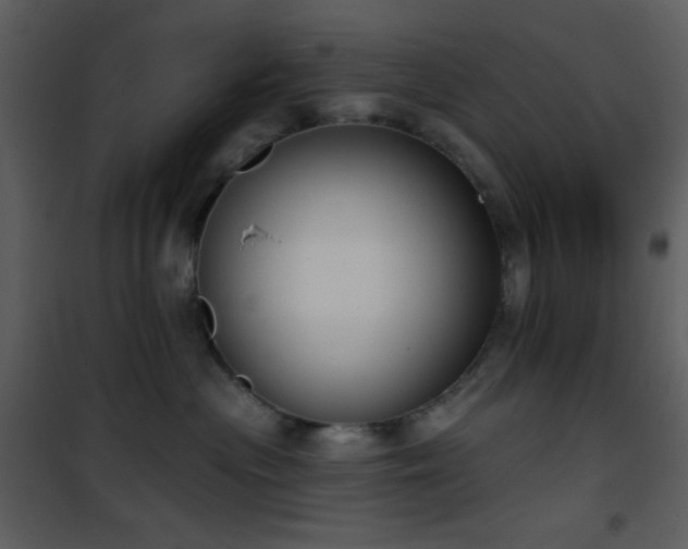 X0000101970477200807181109