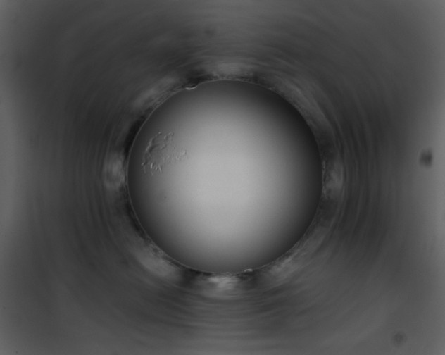 X0000101970478200807181109