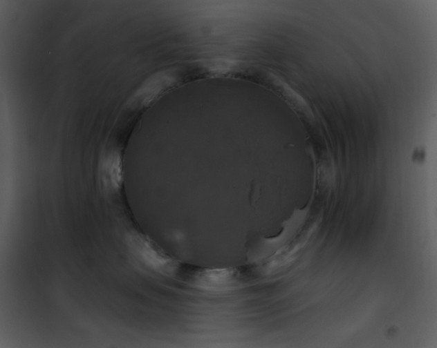 X0000101970479200807181109