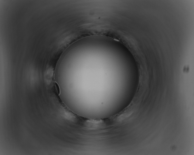 X0000101970480200807181109