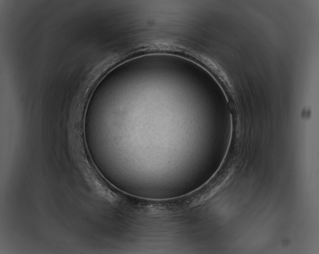 X0000101970481200807181108