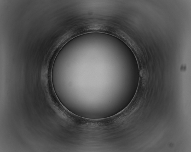 X0000101970482200807181108