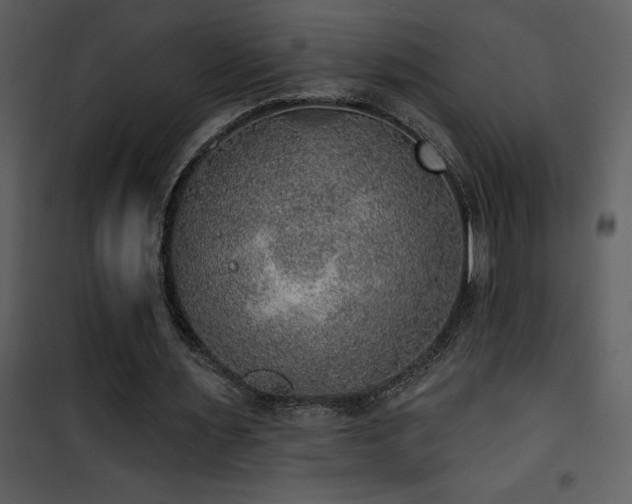 X0000101970483200807181108