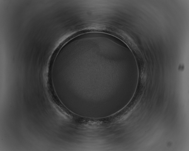 X0000101970484200807181108