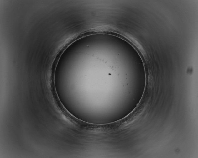 X0000101970485200807181108