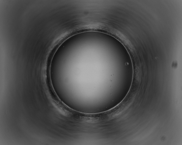 X0000101970486200807181108