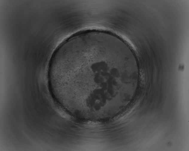 X0000101970487200807181108