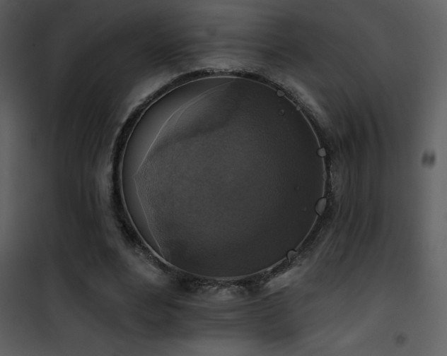 X0000101970488200807181108