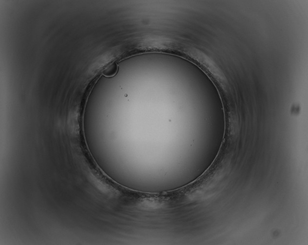 X0000101970489200807181108
