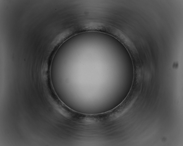 X0000101970490200807181108