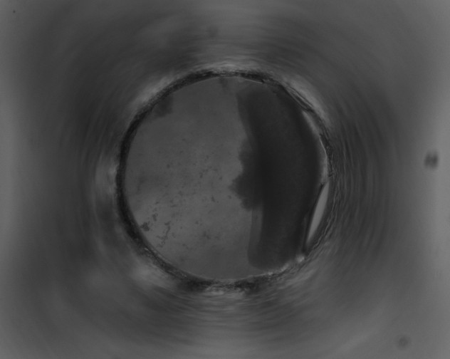 X0000101970491200807181108