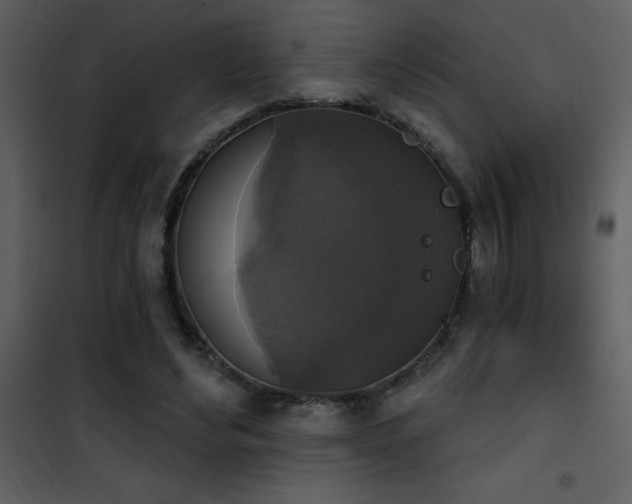 X0000101970492200807181108