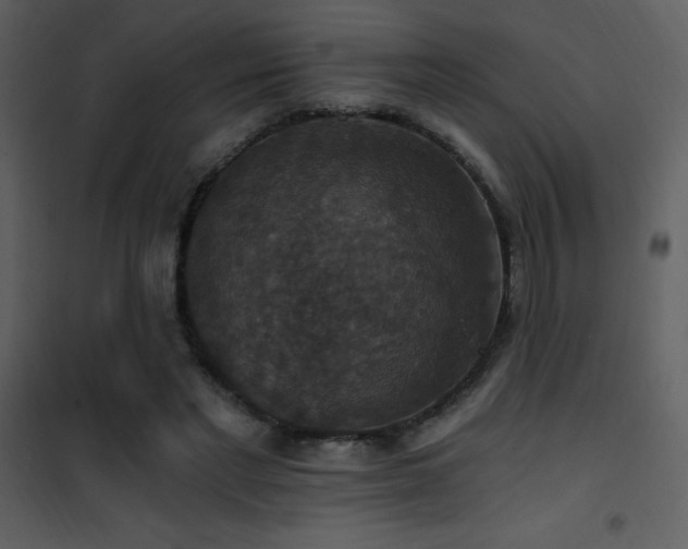 X0000101970493200807181108