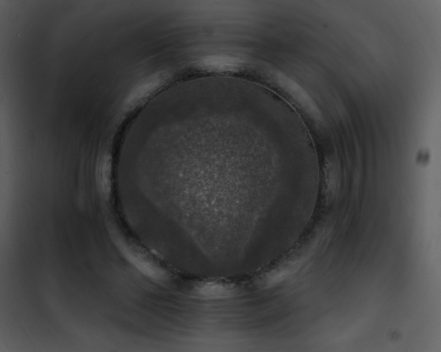 X0000101970494200807181108