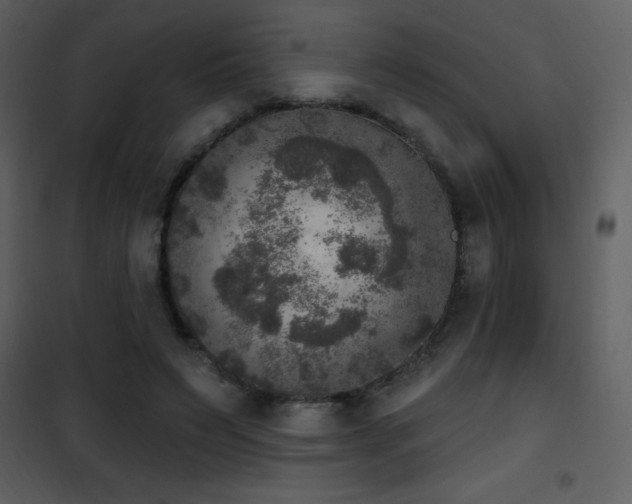 X0000101970495200807181108