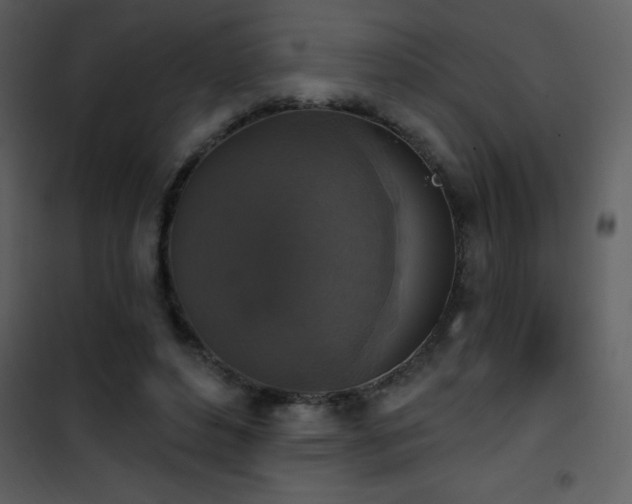 X0000101970496200807181108