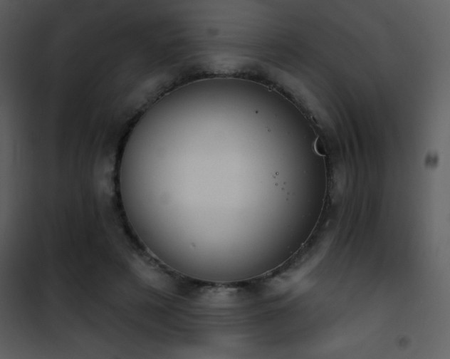 X0000101970497200807181108