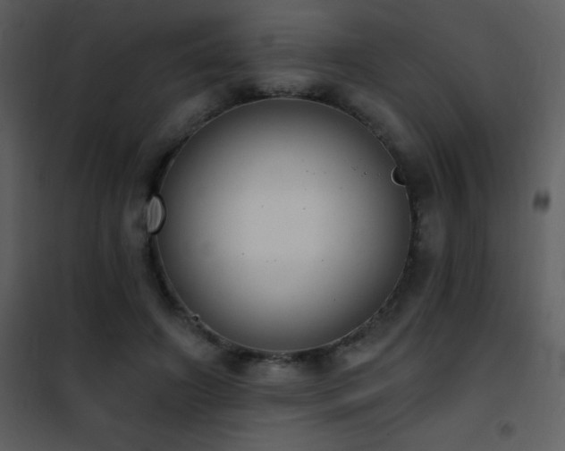 X0000101970498200807181108