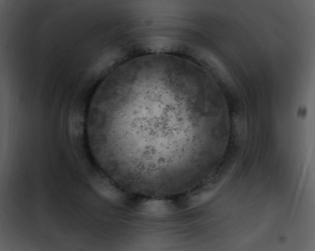 X0000101970499200807181108
