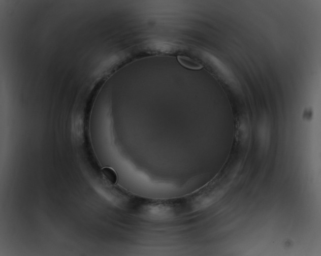 X0000101970500200807181108