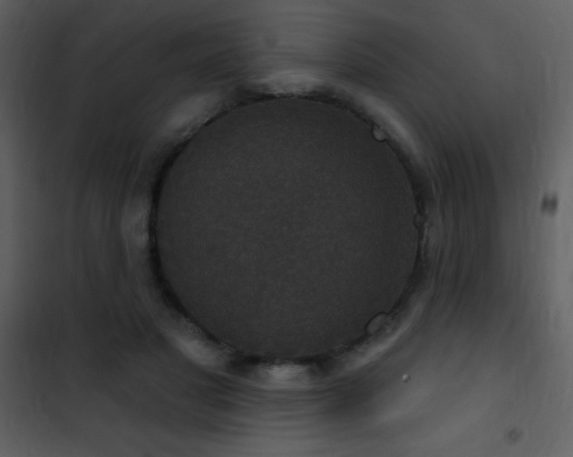X0000101970501200807181108