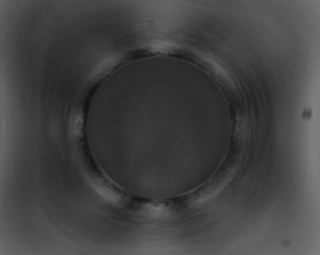 X0000101970502200807181108