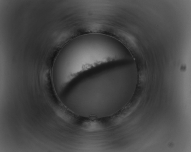 X0000101970503200807181108