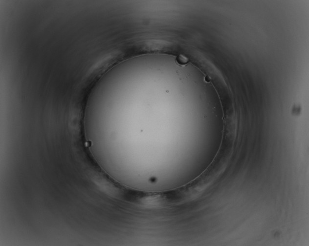 X0000101970505200807181108