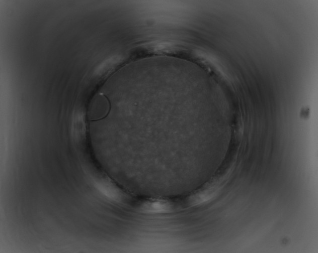 X0000101970506200807181108