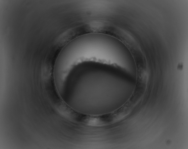 X0000101970507200807181108