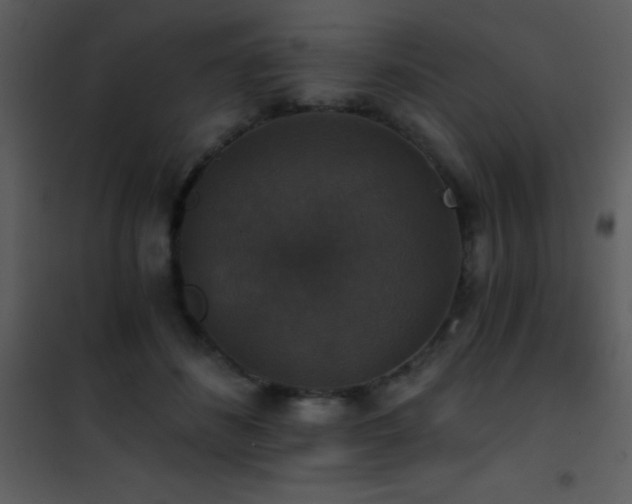 X0000101970508200807181108