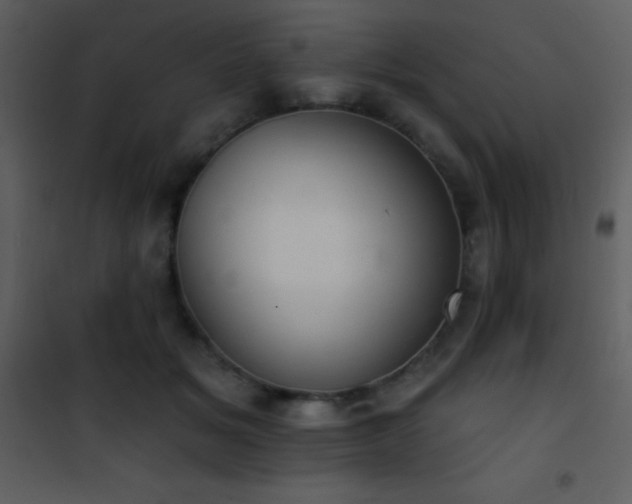 X0000101970509200807181108