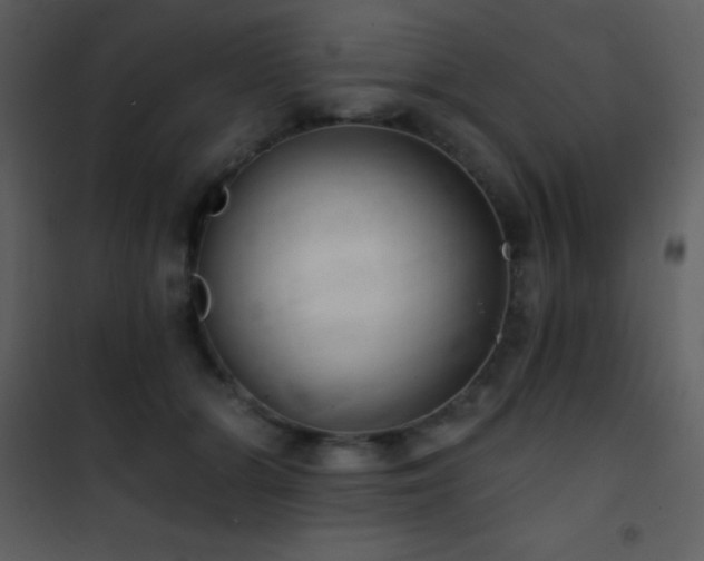 X0000101970510200807181108