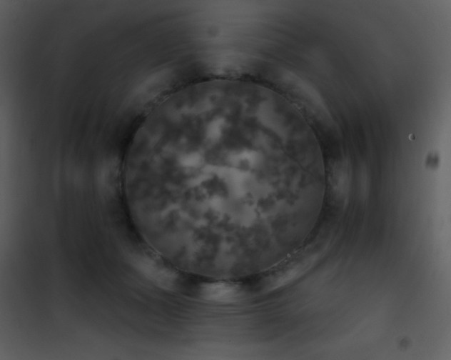 X0000101970511200807181108
