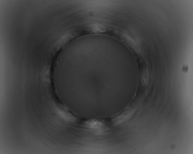 X0000101970512200807181108
