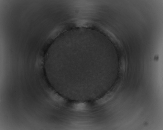 X0000101970513200807181108