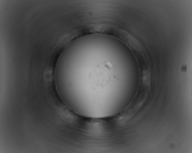 X0000101970514200807181108