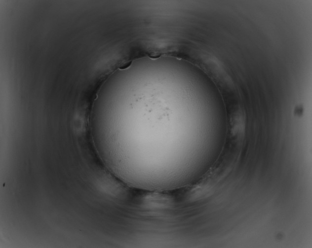 X0000101970515200807181108