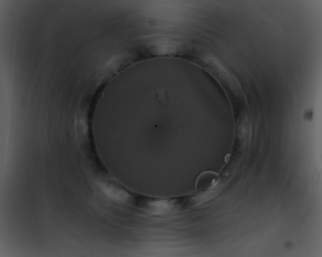 X0000101970516200807181108