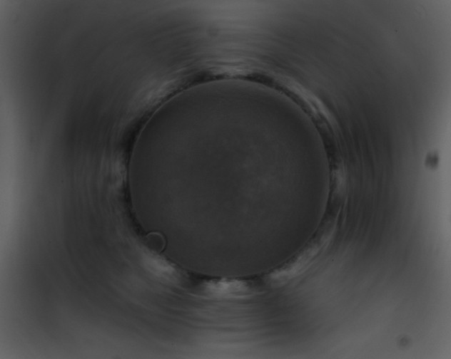 X0000101970517200807181108