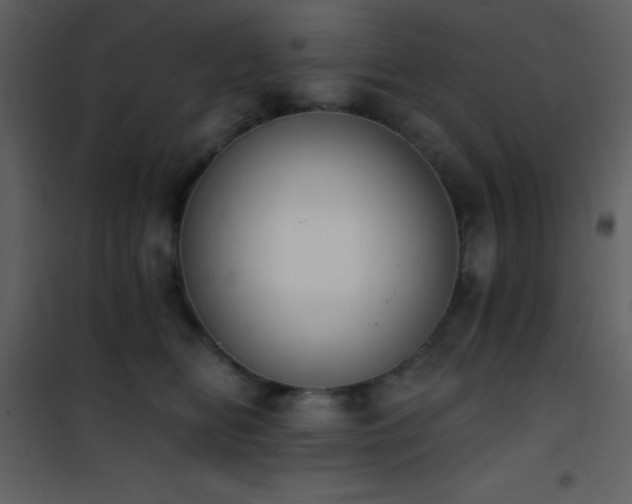 X0000101970518200807181108