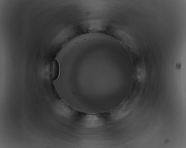 X0000101970519200807181108