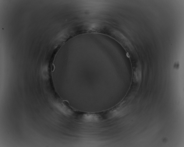 X0000101970520200807181108